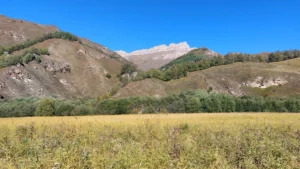 Кабпрдино_Балкария